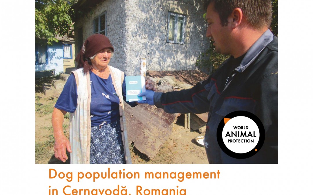 A case study on Save the Dogs’ project in Cernavoda