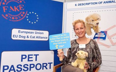 In Europa per chiedere misure contro il traffico di cuccioli