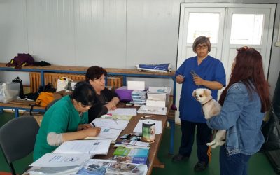 The success and the struggles of the first Cernavoda “Spayathon”