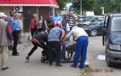 Cernavoda municipality changes its strategy and starts the cull of 300 dogs