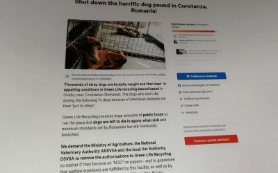 The signatures of the petition against the kennel  in Ovidiu have been handled