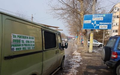 “Pulizia” prenatalizia per le strade di Cernavoda: decine di cani accalappiati