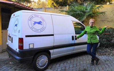 Un nuovo furgone per Save the Dogs Italia!
