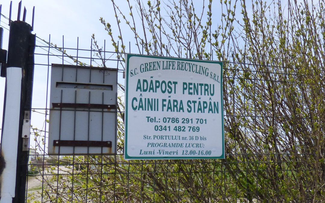 The kennel of horrors of Ovidiu has apparently stopped its catch