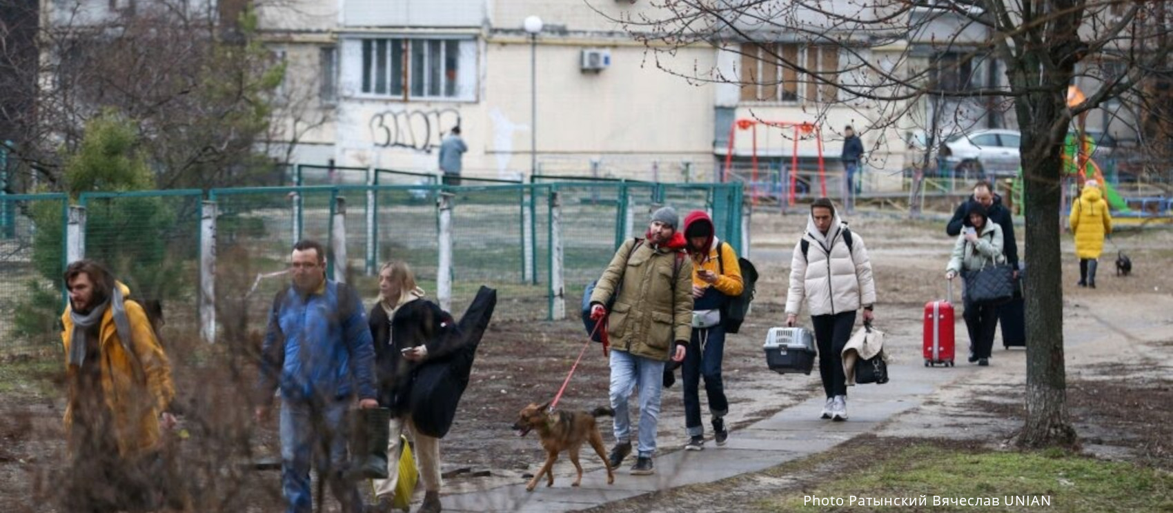 The war in Ukraine – A winter without food and shelter for animals ...