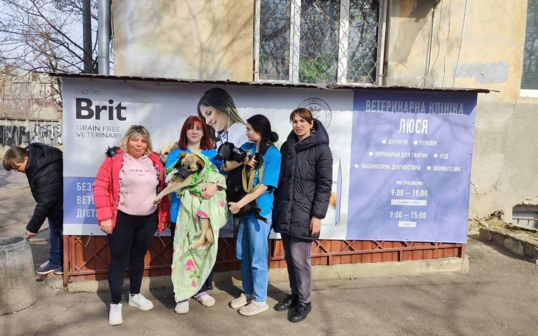 Sterilizing animals in Ukraine: our efforts continue despite the ongoing war