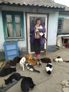 This is Alice Adam, she has about 90 cats in her care