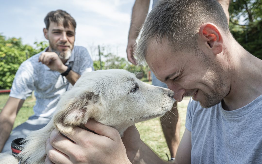 Webinar: “Vite connesse: un percorso di reinserimento sociale dei detenuti attraverso l’empatia per gli animali”