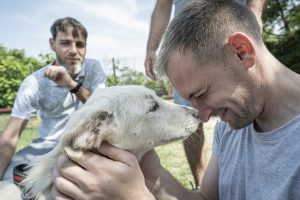 Segui il webinar dedicato al progetto di reinserimento sociale dei detenuti attraverso il legame con gli animali