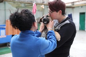 Prosegue il programma di sterilizzazioni Non Uno di Troppo, grazie a una nuova partnership con Squadra 4 Zampe