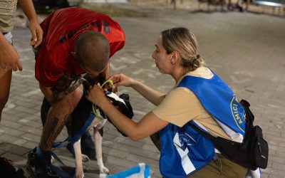 Friends On The Streets, Companions For Life – Giovanni and Bingo’s story