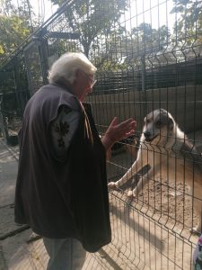 Un gruppo di anziani è venuto a visitare il nostro rifugio