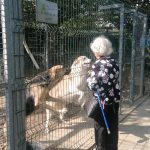 Un gruppo di anziani è venuto a visitare il nostro rifugio