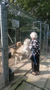 Un gruppo di anziani è venuto a visitare il nostro rifugio