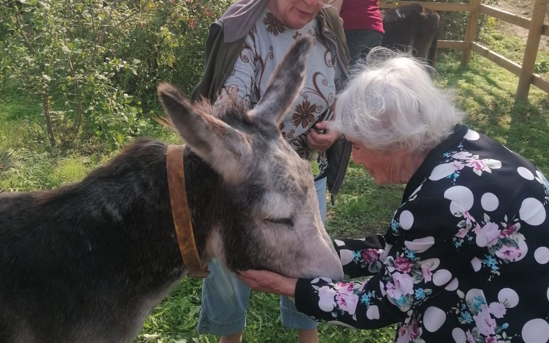 A group of elderly people came to visit our shelter