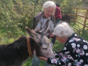 Abbiamo chiamato il nostro rifugio Footprints of Joy, Impronte di Gioia, proprio per questo motivo: è la gioia quella che si sente nell’aria durante queste giornate