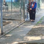 Un gruppo di anziani è venuto a visitare il nostro rifugio