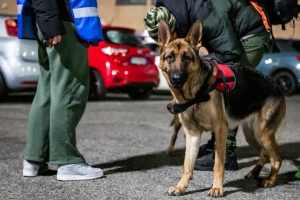 2024: I traguardi raggiunti insieme per gli animali